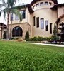 Artificial Lawn Turf